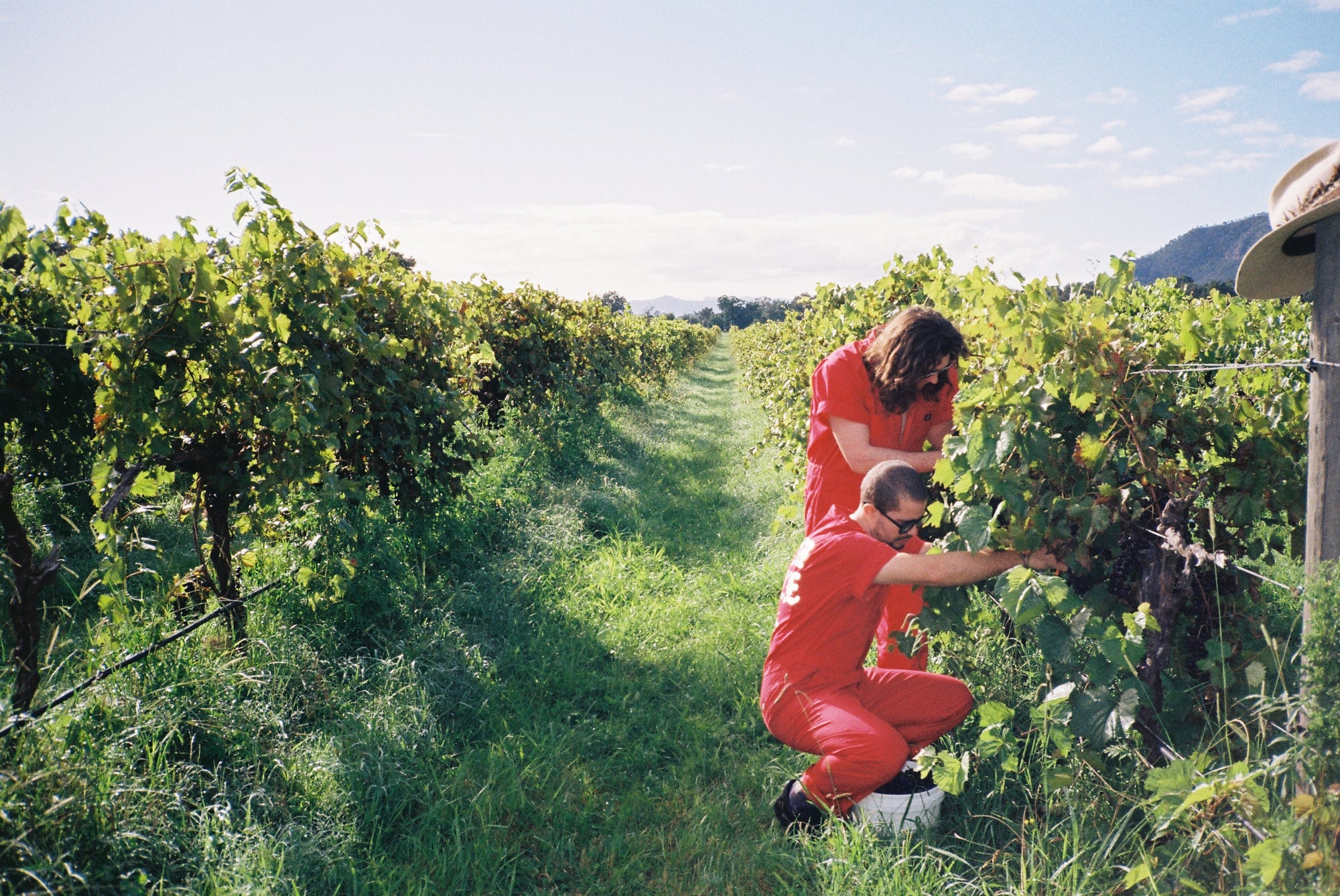 What is Natural Wine? - Doom Juice Worldwide